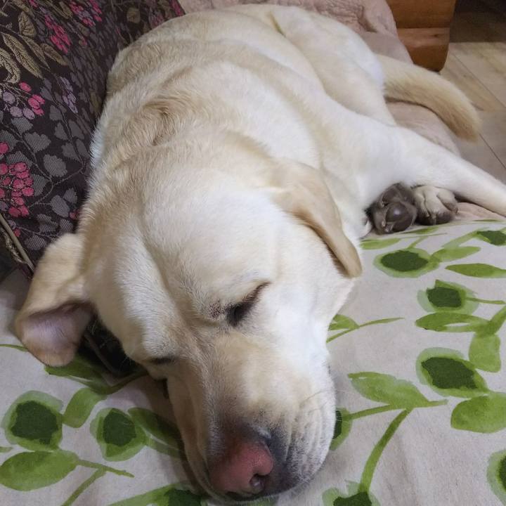 44ab2dc4 dca0 45cb 8c29 ee3ec80aa752 1557660117365