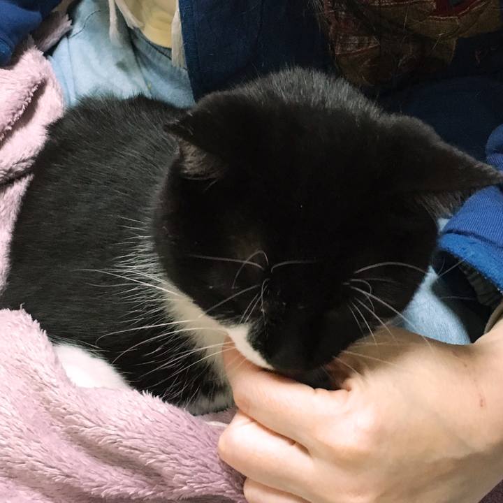 44ab6f84 3372 4095 86b6 dc26d9128ea9 1576417369230