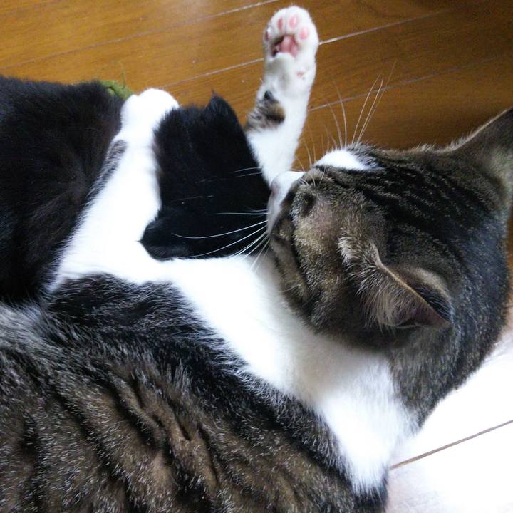 44ab9f7e f74d 472c 964e a723163500a4 1650404826082