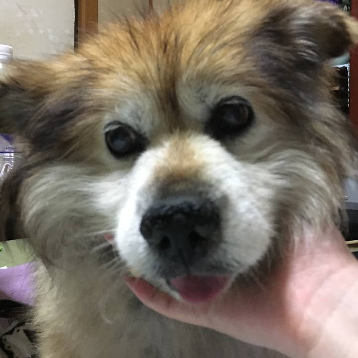 44abdd76 11ce 4839 bb5e c2bdaedefd6f 1595988721395