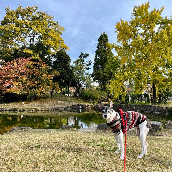 44abfeda 01bd 4138 adcb 6bfe214c7848 1637459806073