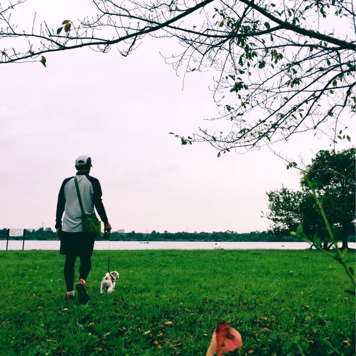 44ac1dc1 e6a9 4d36 801c 00434be61a48 1539586334326