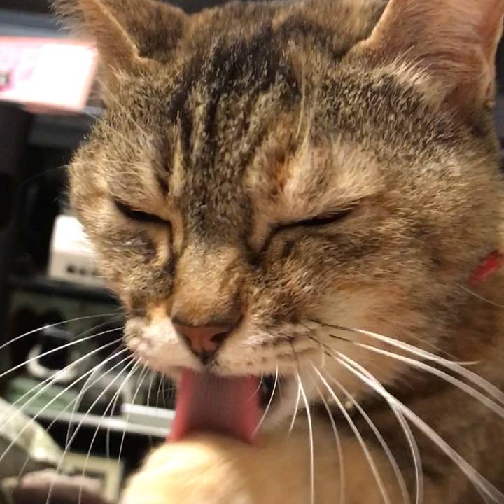 44ac6238 0462 4e77 afc4 96c0e474f71b 1521133612403