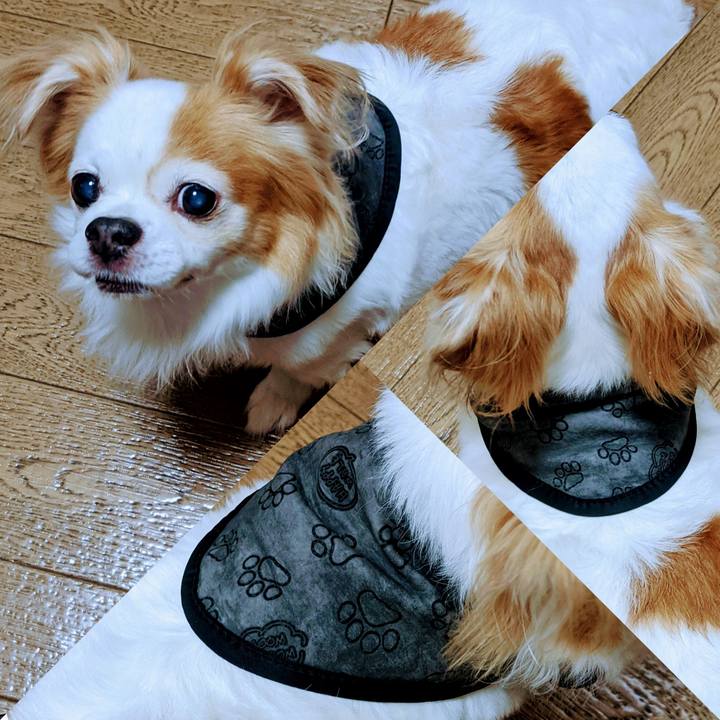 44ac6da3 5070 4898 b14b b59123ad5021 1620646063679