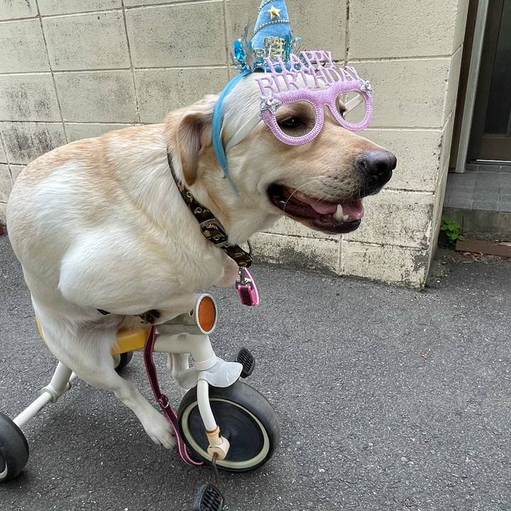 44ac6e39 4fcc 4773 8508 87aa2c6a07e6 1656934777548