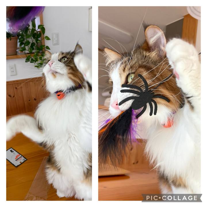 44ace954 2b70 455d ad8e 69348ef27651 1727075467167