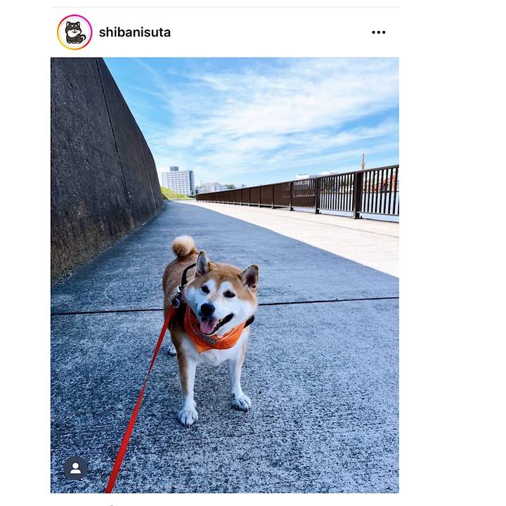 44aceaa6 7731 449a 84a7 f6ca516f0b97 1666746991337