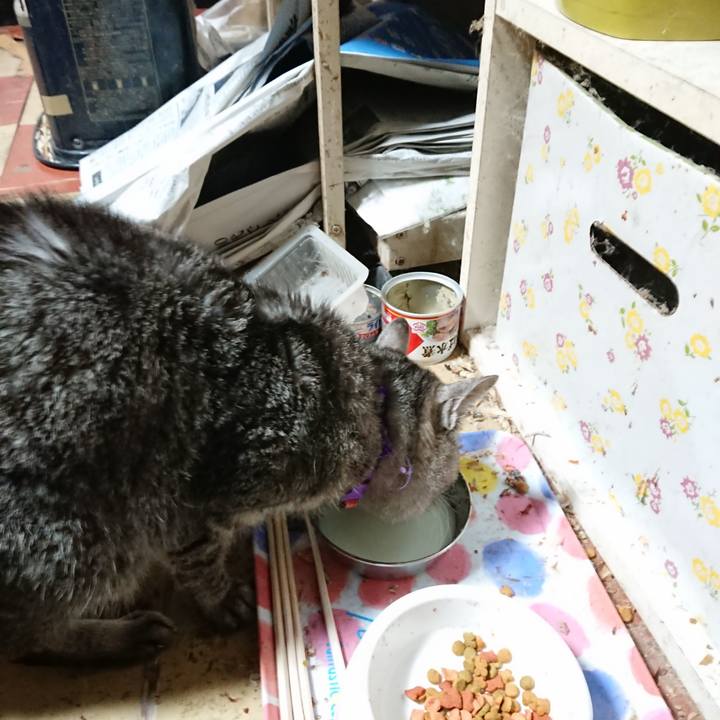 44ad6329 4574 4e20 808c 5a1143e8afda 1584476207819