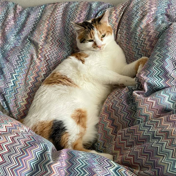 44ad6d64 ecf7 4806 8b90 59363da66675 1615104292335