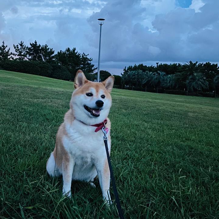 44ad9227 e69e 4877 9de9 0fd6fcb75e69 1599317331105