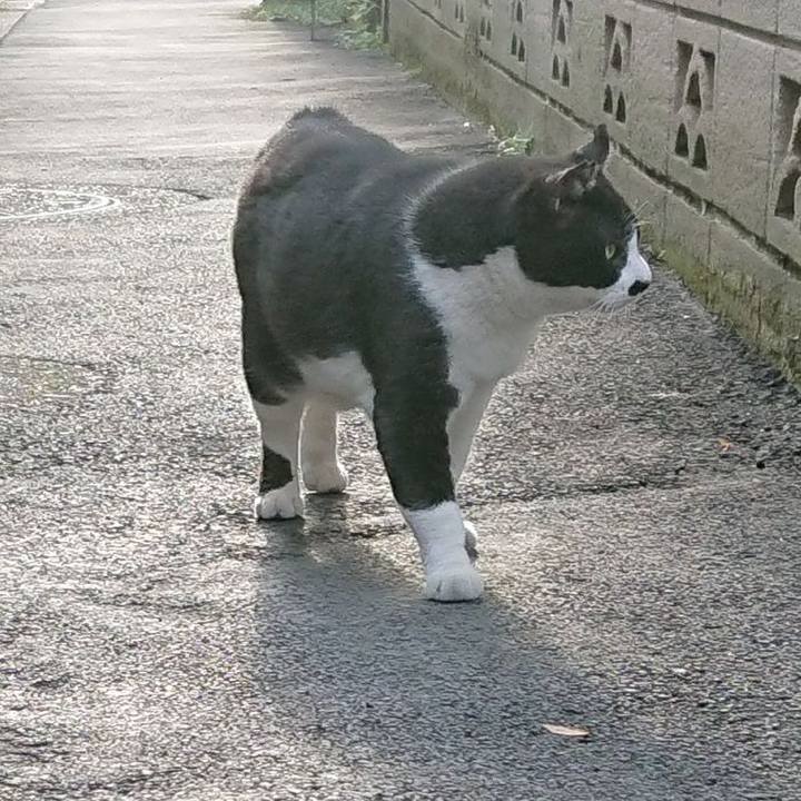 44ada7e9 be70 40a3 b734 01e0fe38013b 1622019397334