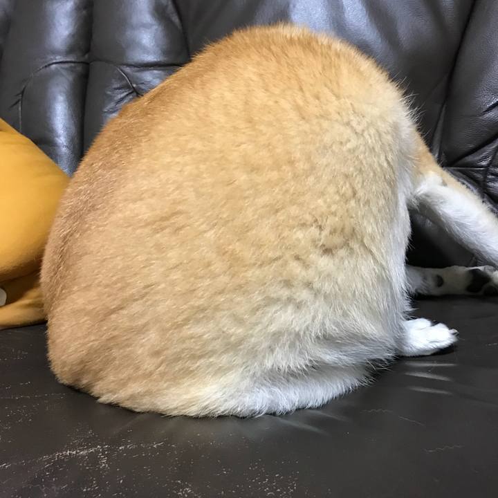 44ada963 470a 49e3 9690 9c8e6642b131 1507855243287