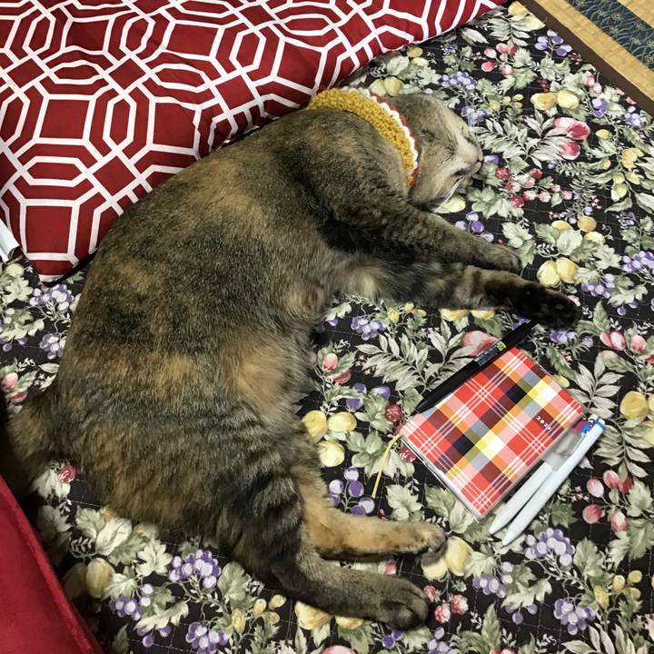 44adba83 9f5f 4c2d aa73 7e8104bdf9b9 1622945218536