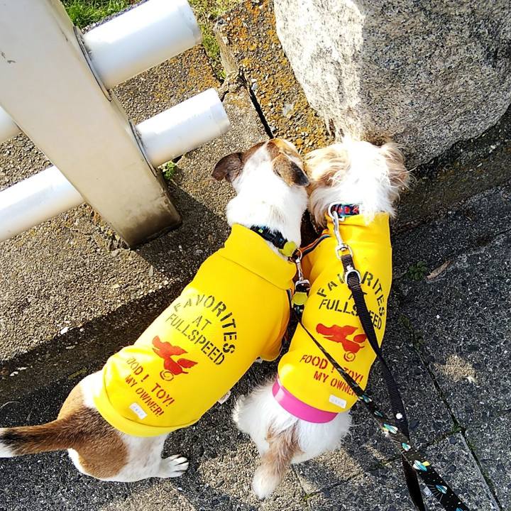 44adbb1b 45b3 42b7 a9e7 42082e925289 1551535788041