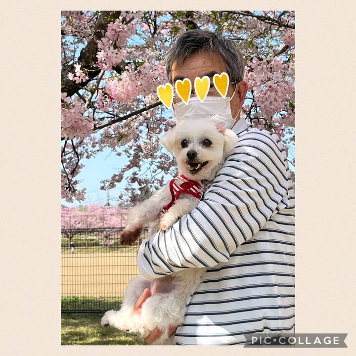 44add440 ff36 405e a7ed 7969c0efa9f1 1649569321885