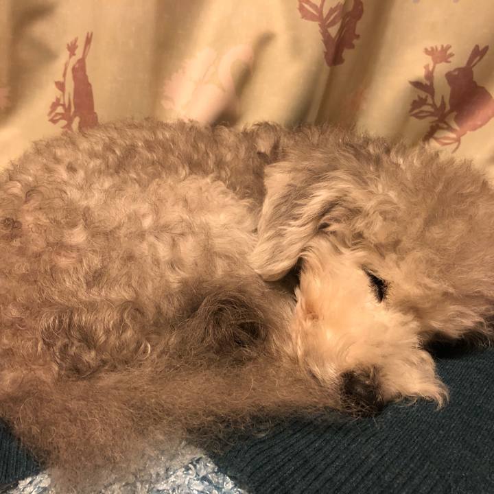 44add567 61f6 425b 9882 6774fb471148 1573999825819