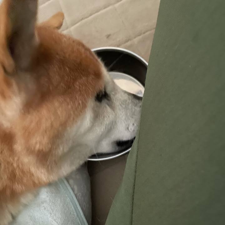 44ade134 d41e 43d9 bc5c 7e2e0d727680 1624667555824