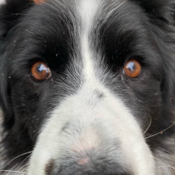 44adea30 adde 49cb b403 9e0a96e5810a 1609979900357