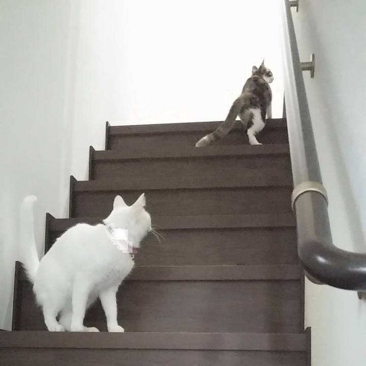 44ae20bd 3d09 4a95 bb80 9555760939d7 1637028916532