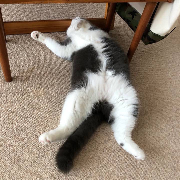 44ae2b0f b518 45eb 82c6 fe9a73870949 1543017551371