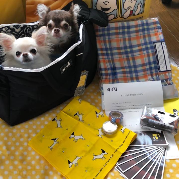 44ae4ff1 2102 4ed7 a6fa 5c4e6d766bbd 1563881844061