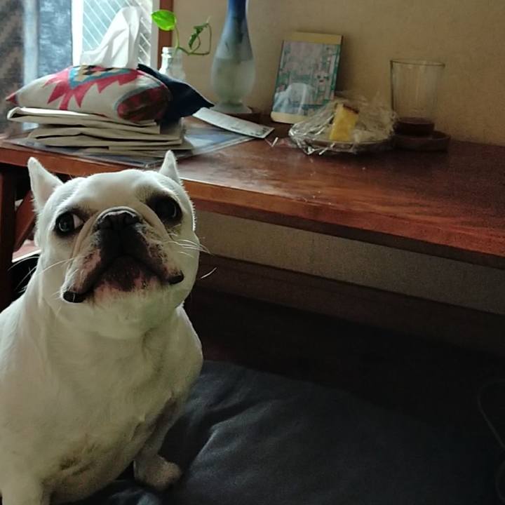 44ae5773 5e93 45cf ae98 467ff03c1b35 1662781517383