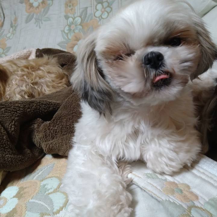 44ae7bc3 a40c 4d7b b978 8f76d7b873fd 1608113110942