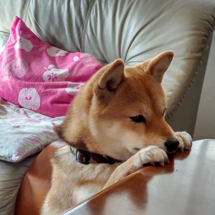 44aed974 9205 499b 84fd ac011b1dadfb 1638318946735