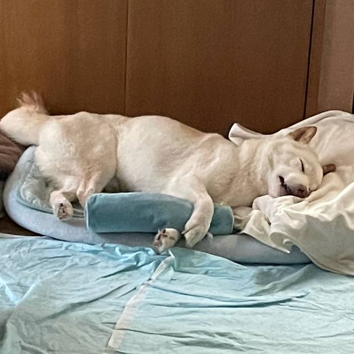 44aee478 d2c1 4320 8088 31be518b90bd 1633874416257