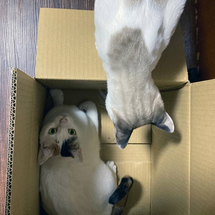 44aeec2d b577 4ce1 a91c c1bf5be53c77 1621466961805