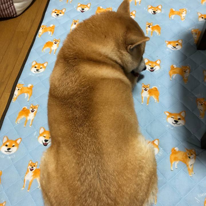 44aef3d1 8c26 464f acf5 876ee5d53071 1568890168802