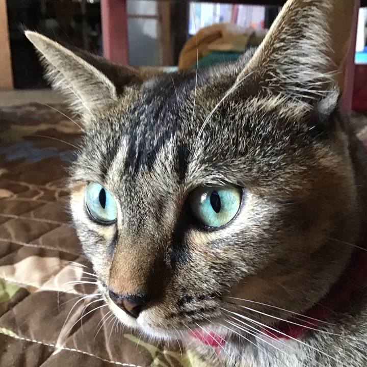 44af03a4 002d 4a49 b121 b196d50a432f 1601451847250