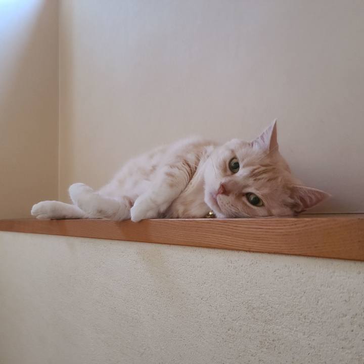 44af1b56 1264 470f 8033 79f30319cf9a 1624522963416