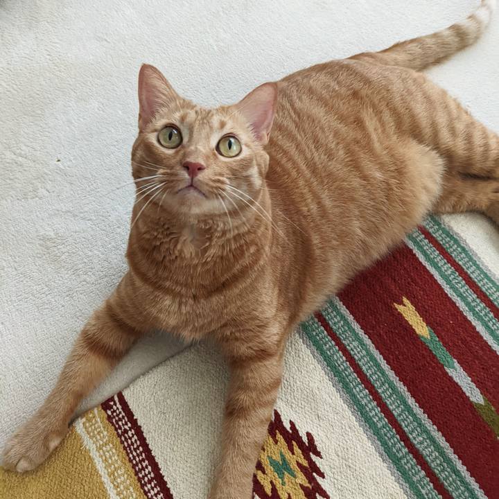 44af585c 6980 4544 bcca 8038ff4b218e 1657333965654