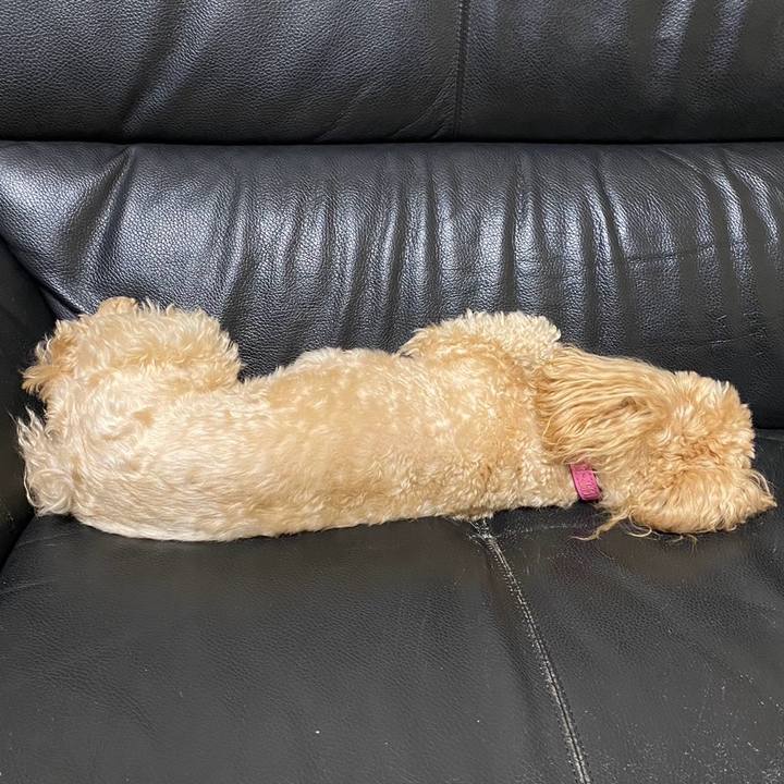 44af79de 95ad 4884 8dfb 0e66626f3a85 1712135061764