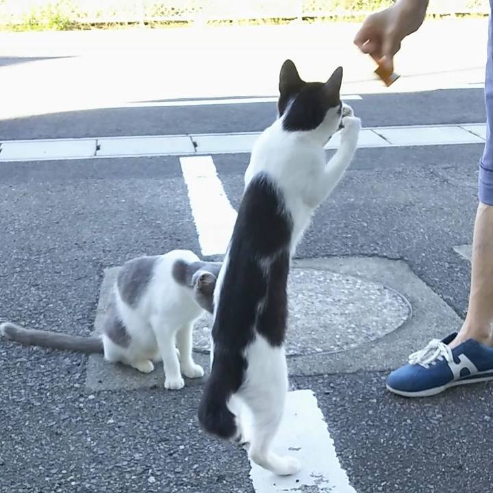 44afa9c3 877c 4ede 88a2 b2daa842eedc 1534929821950