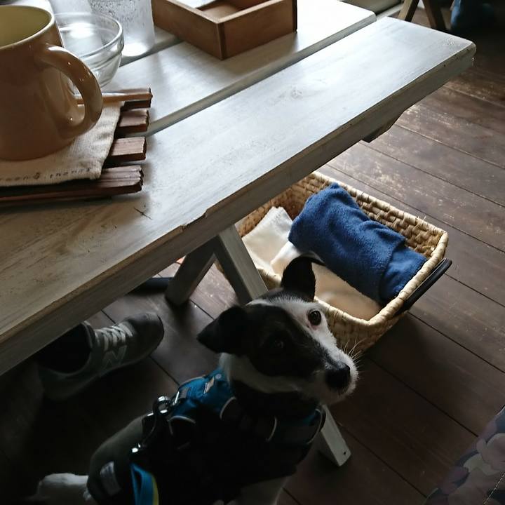 44afb1b0 c08d 40de 9bc3 3b237cd851ca 1517115533830