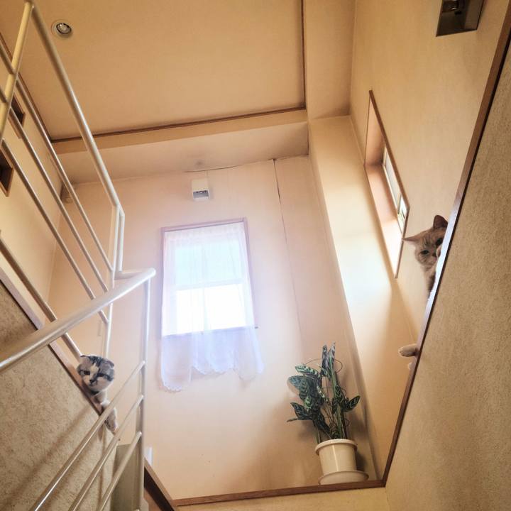 44b01ccc a7f2 435e a5ff d3be9a7cb66f 1689815599203