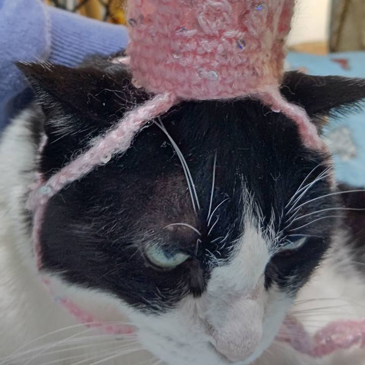 44b04db3 442b 403f a936 7119f571abb2 1636244342985