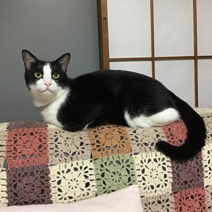 44b11269 b584 42bc 8932 bd70a4e00d02 1725620218179