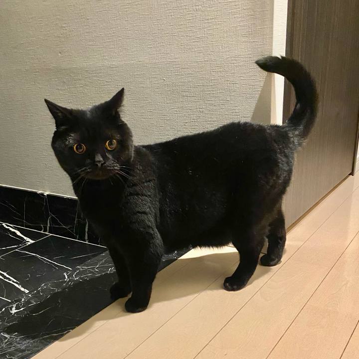 44b158b6 4c1d 4fc6 bc51 ff75d3f2cf1b 1650633548005