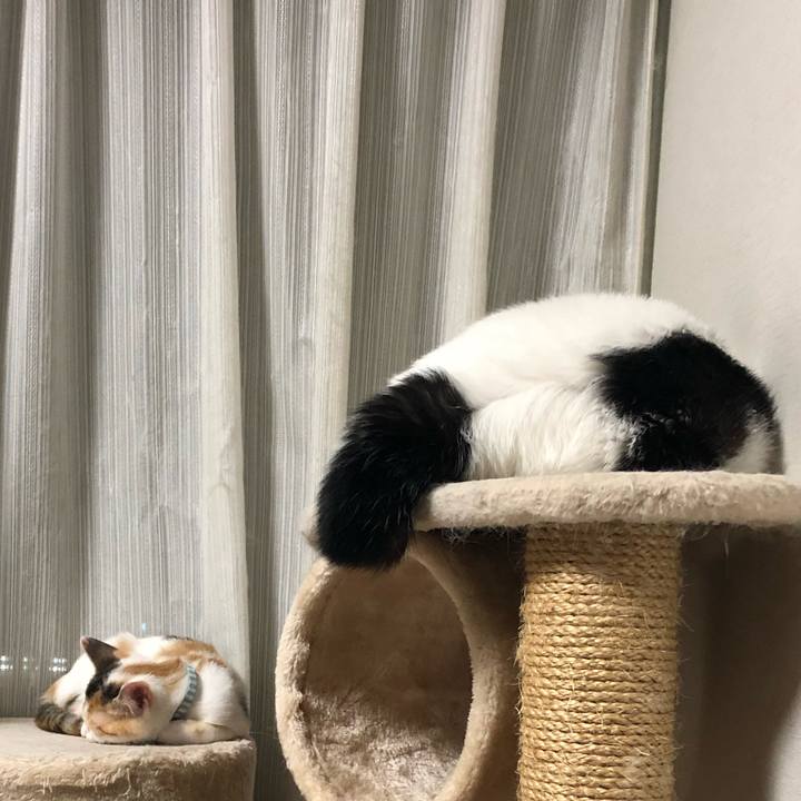 44b1df4e a3c9 49f4 891a b7828cd65227 1563629018652