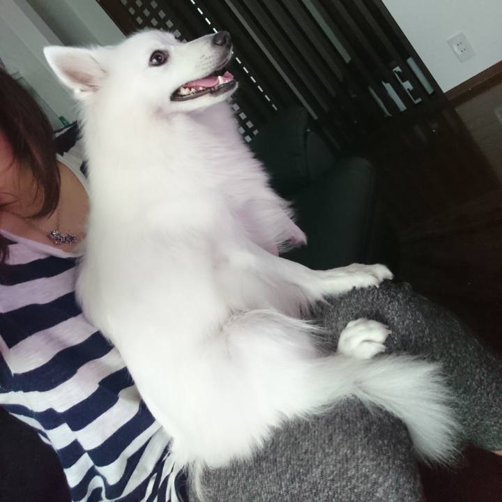 44b1df99 8338 48e2 9a42 436b27d89b8c 1536031868409