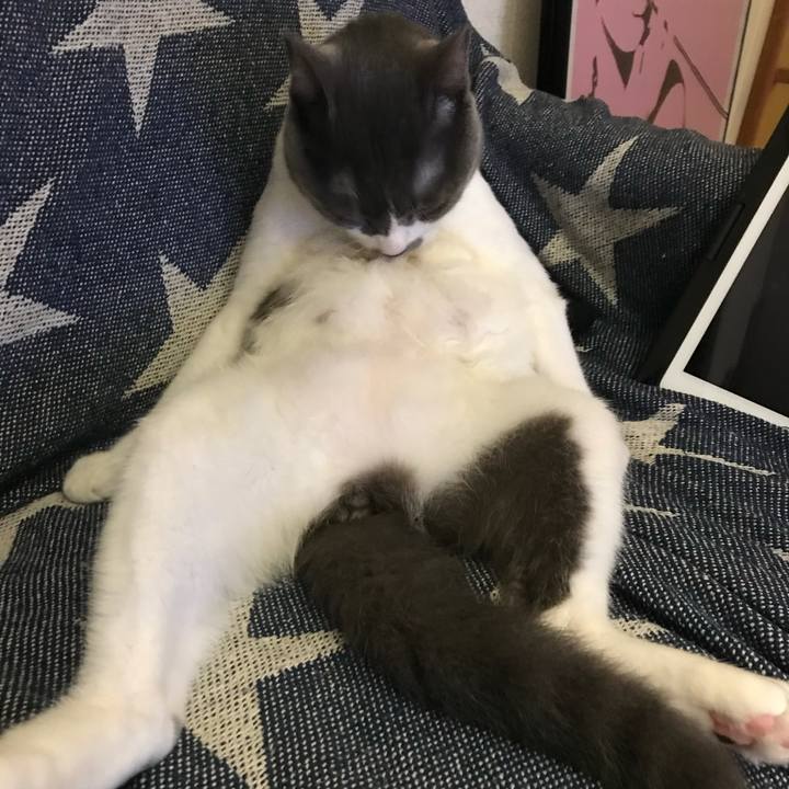 44b1f467 61d3 42de 9762 4373820de2c7 1625833460778