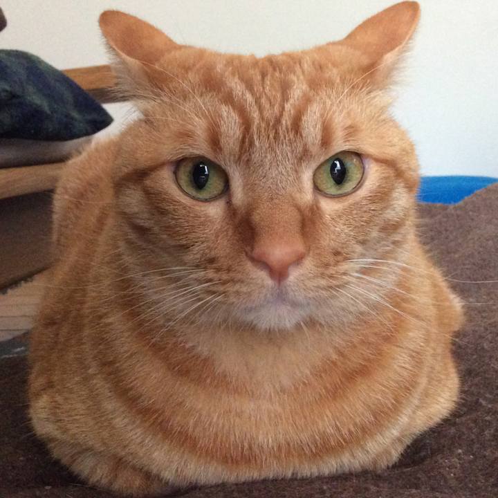 44b1fd9e 8fe0 452d bddb 272a9aee95f7 1529115773198