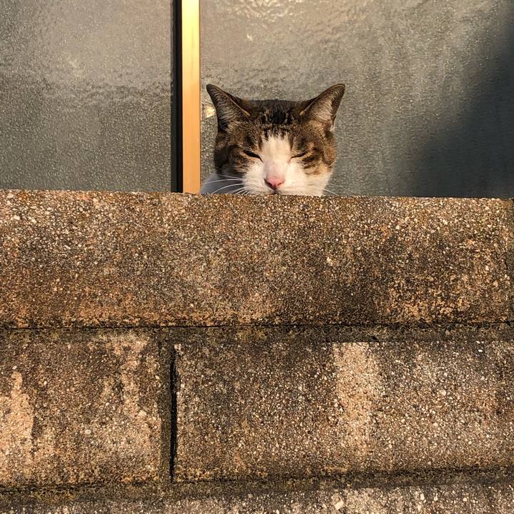 44b21b59 5af3 4cbb bf03 18e94d12e503 1552685094015