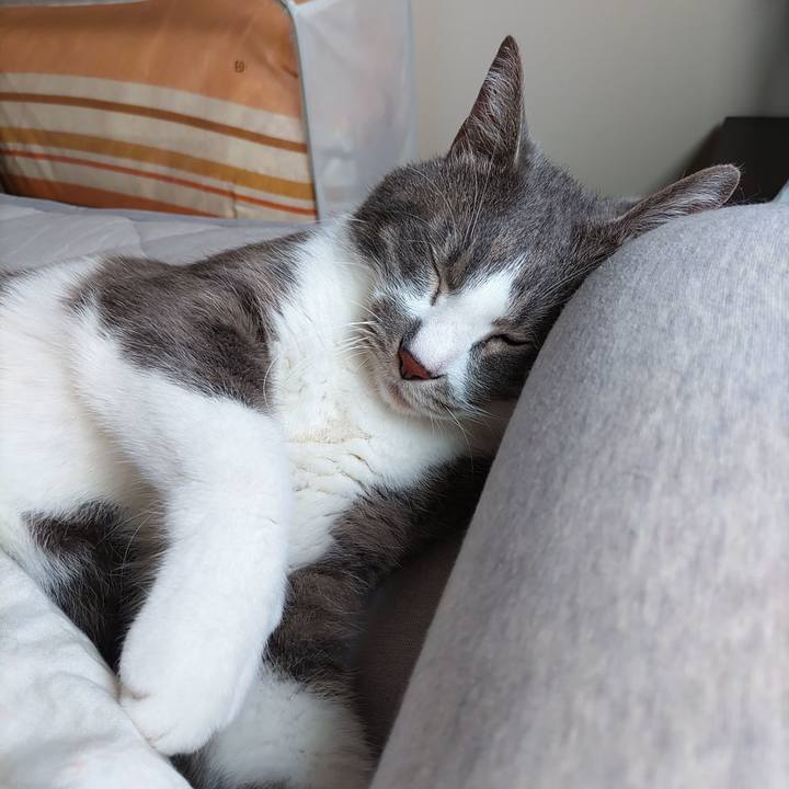 44b22d81 e8a3 4eaf b52c 81614452a458 1687737996636