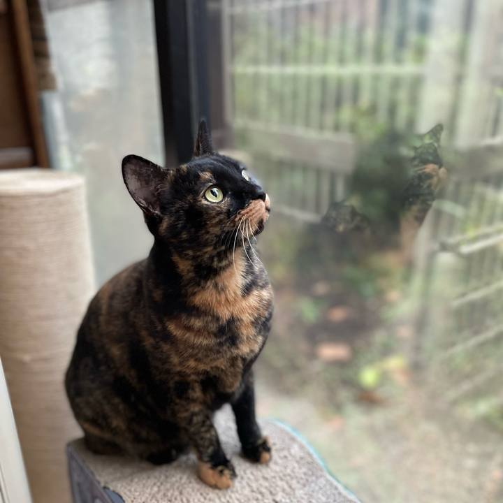 44b2337e 10ca 444c a8a4 599d7f293b13 1761973629489