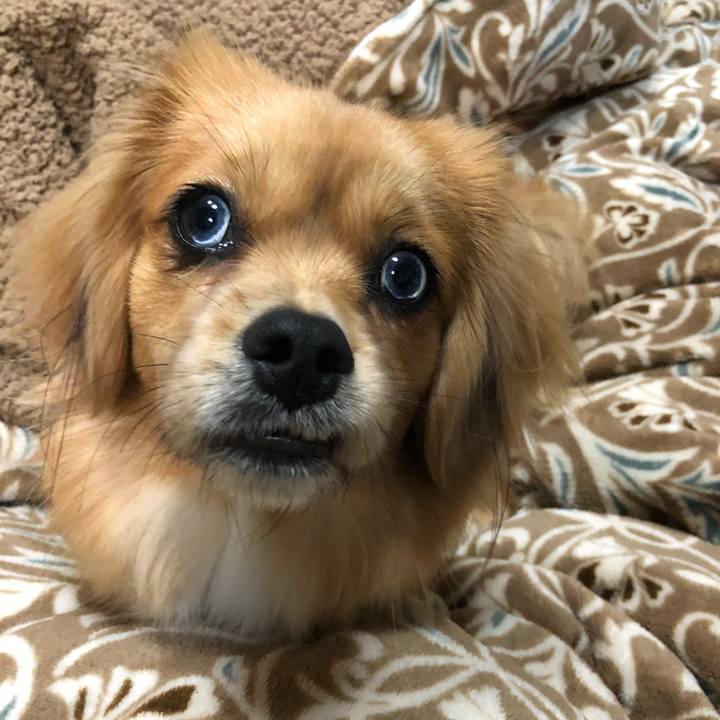 44b261be 3ac7 41a1 8bb5 81a0222428ef 1516052218362