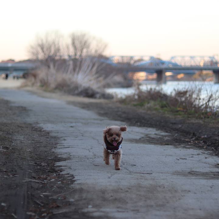 44b28f31 0d01 4012 b156 d2c54abb5594 1549098542228